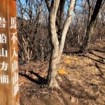 馬不入山