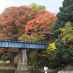 川の音が視聴できるキャンプ場